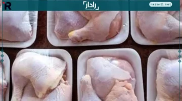 أسعار الفراخ في مطروح الأحد 14-12-2025.. الكيلو بـ60 جنيهًا